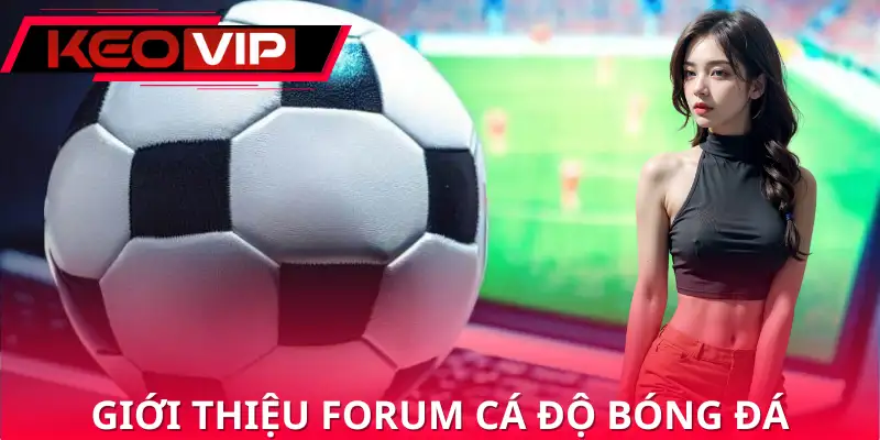 Forum cá độ bóng đá là cầu nối gắn kết cộng đồng. Forum cá độ bóng đá là cầu nối gắn kết cộng đồng.