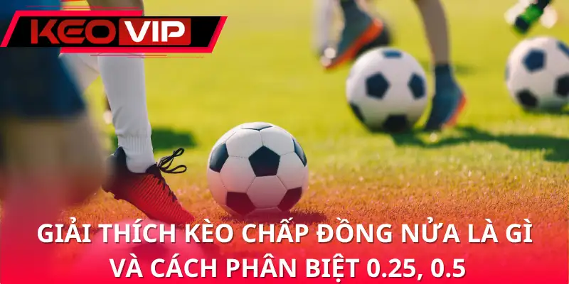 Giải thích kèo chấp đồng nửa là gì và cách phân biệt 0.25, 0.5 Giải thích kèo chấp đồng nửa là gì và cách phân biệt 0.25, 0.5