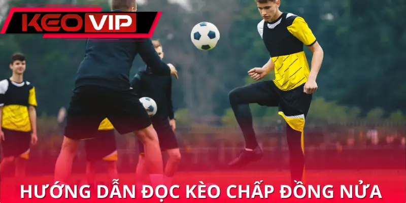 Hướng dẫn đọc kèo chấp đồng nửa nhanh trong 3 phút Hướng dẫn đọc kèo chấp đồng nửa nhanh trong 3 phút