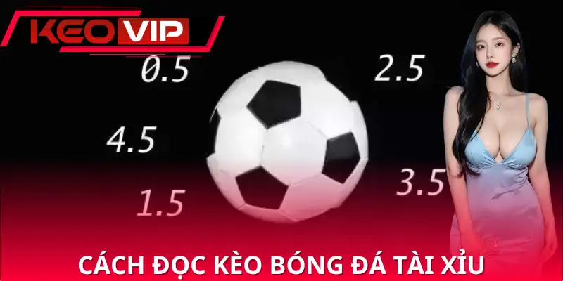 Cách đọc các loại kèo bóng đá tài xỉu là gì Cách đọc các loại kèo bóng đá tài xỉu là gì
