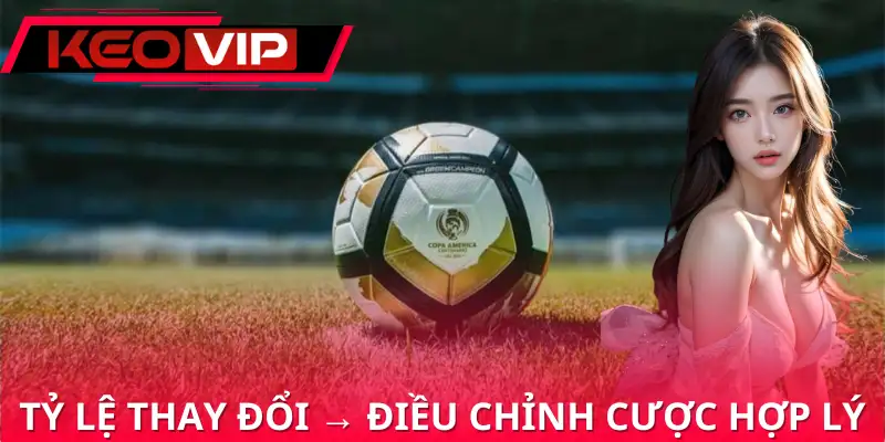 Cần xem xét biến động khi chơi kèo chấp 0/0.5 Cần xem xét biến động khi chơi kèo chấp 0/0.5