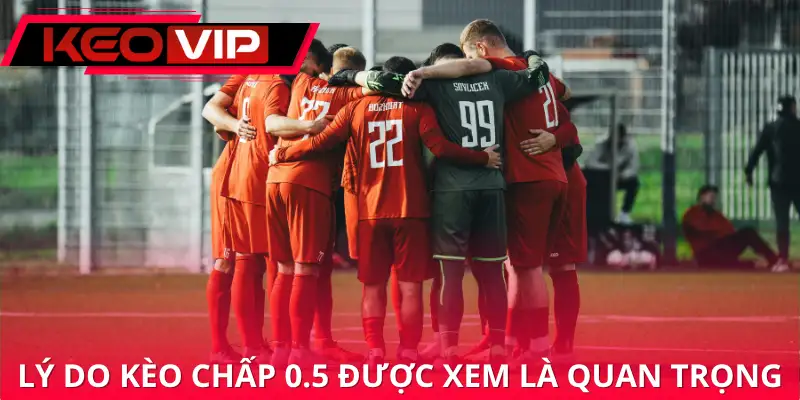 Lý do kèo chấp 0.5 được xem là quan trọng Lý do kèo chấp 0.5 được xem là quan trọng