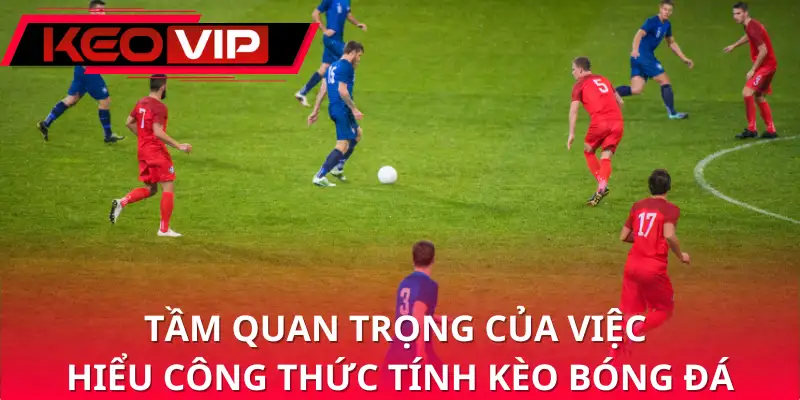 Tầm quan trọng của việc hiểu công thức tính kèo bóng đá Tầm quan trọng của việc hiểu công thức tính kèo bóng đá