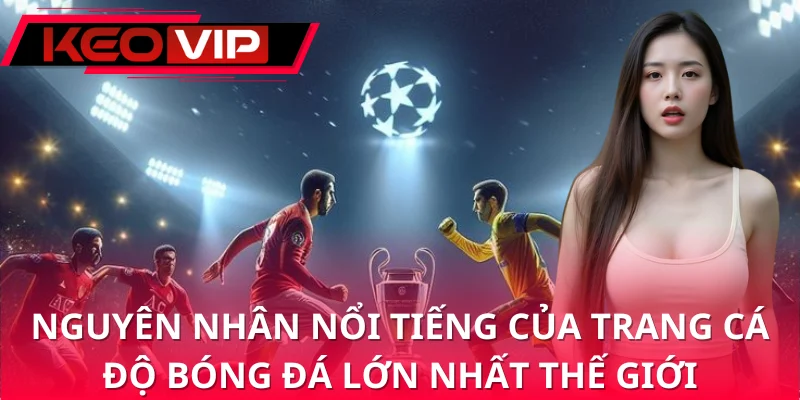 Nguyên nhân cần biết trang cá độ bóng đá lớn nhất thế giới Nguyên nhân cần biết trang cá độ bóng đá lớn nhất thế giới