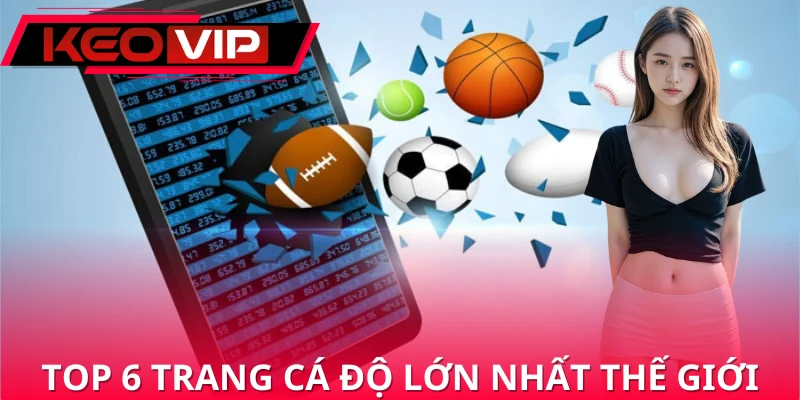 Chia sẻ các trang cá độ bóng đá lớn nhất thế giới Chia sẻ các trang cá độ bóng đá lớn nhất thế giới